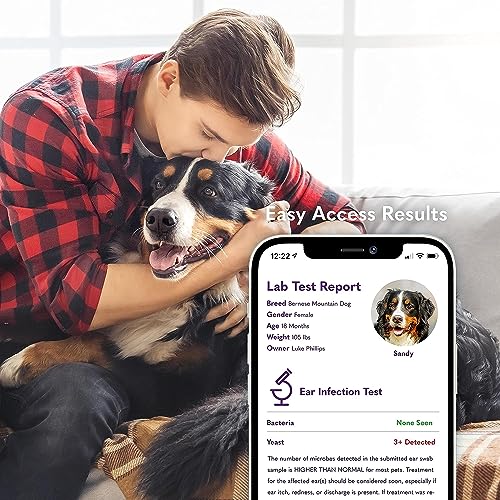 MySimplePetLab Dogs Ear Infection Test Kit | Fast and Accurate Detection of Yeast and other Ear Irritations| Reliable Mail-in Dog Ear Care Test for Smelly, Itchy, or Sore Ears MySimplePetLab Dogs Ear Infection Test Kit | Fast and Accurate Detection of Yeast and other Ear Irritations| Reliable Mail-in Dog Ear Care Test for Smelly, Itchy, or Sore Ears