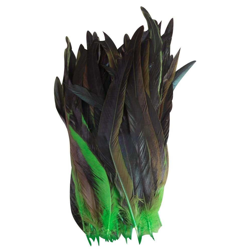 Uposao 100 Pcs Natural Chicken Feathers, Assorted Craft Feathers DIY Craft Collage Feathers for DIY Dream Catcher Hair Costumes Hats Crafts Party Home Decoration