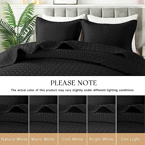 Image of HYLEORY Quilt Set Full Queen Size - Soft Lightweight Quilts Summer Quilted Bedspreads - Reversible Coverlet Bedding Set for All Season 3 Piece (1 Quilt, 2 Pillow Shams) - Black