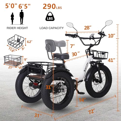 NARRAK 750W Semi-Recumbent E-Trike