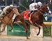 Justify 2018 Kentucky Derby Winner Mike Smith 8x10 Photo