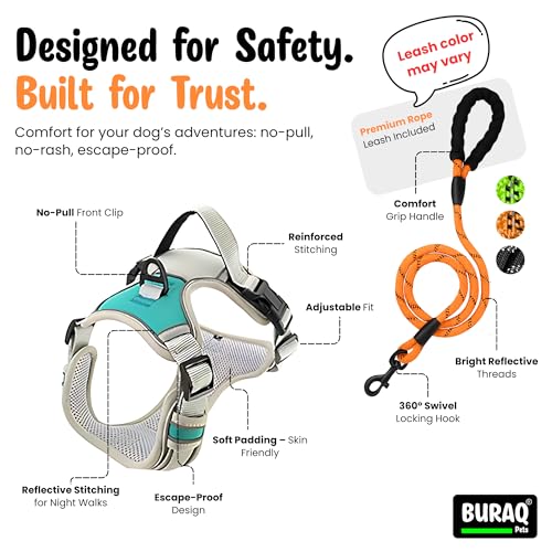 Image of Buraq Reflective Dog Harness with Leash, No-Pull Adjustable Belt Vest for Small, Medium & Large Dogs, Escape-Proof, Padded Training & Walking Harness (Green, S)
