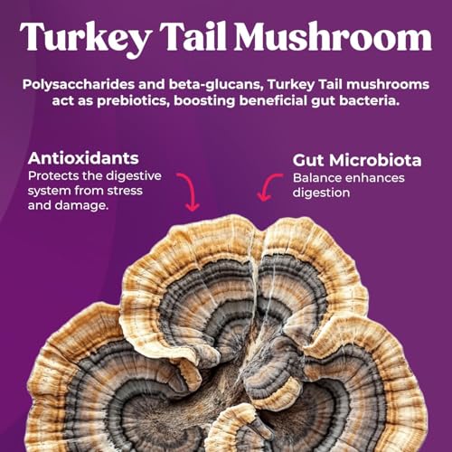 Image of Fungiments Super Prune - Constipation Relief & Digestive Support, Turkey Tail Mushrooms, Prebiotic Fiber, Rhubarb, Ginger & Chamomile - Gut Health, Debloating & Regularity (30 Gummies)