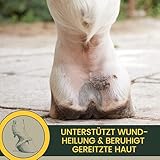 Zinksalbe Pferd Hund 0,25ml Wund Zink Salbe bei Wunder Haut mit Zinkoxid I Wund- Und Heilsalbe für Hunde Katzen Tiere I Wundsalbe | Wundheil Zink Creme zur Unterstützung der Heilung Wunden Juckreiz