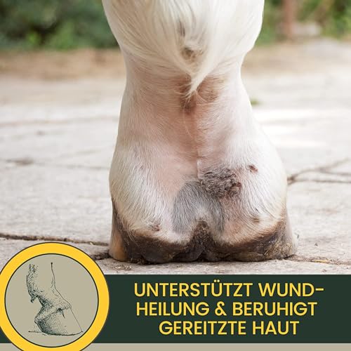 Zinksalbe Pferd Hund 0,25ml Wund Zink Salbe bei Wunder Haut mit Zinkoxid I Wund- Und Heilsalbe für Hunde Katzen Tiere I Wundsalbe | Wundheil Zink Creme zur Unterstützung der Heilung Wunden Juckreiz