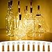 Produktbild FLYFLY Weinflaschen-Lichter mit Korken, 10 Stück, batteriebetriebene Kupferdraht-Lichterkette für Zuhause, Tisch, Party, Hochzeit, DIY Garten, Gin, Glas, Dekoration (warmweiß)