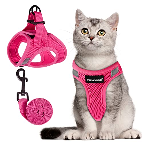 Image of FAYOGOO Cat Harness and Leash Set, Escape-Proof Step-in Vest for Walking | Step-in mesh vest, velcro + buckle + D-ring; reflective strips; includes matching leash; 5 sizes