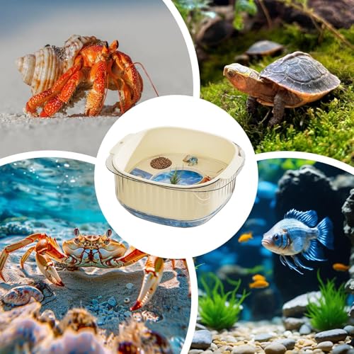 Terrarium pour Tortues Aquatiques Multifonction Contre l'Eau Sale