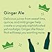 OLIPOP Prebiotic Soda Pop, Ginger Ale, A New Kind of Soda Packed with Prebiotics, Fiber, and Botanicals, Gluten Free, GMO Free, 12oz (12-Cans)