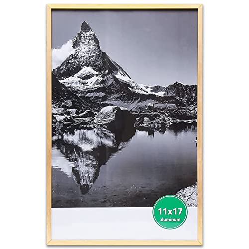 Thedisplayguys - Contemporary Aluminum Picture Frame - Tempered Glass - 11X17 Tall Poster - Gold - Wall Hanging #TOP16