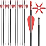 ASDW Archery Arrows Fiberglass Arrow 28/30 Inch Targeting Practice Arrows Safety Arrows Hunting Arrows for Recurve Bow Compound Bow Beginner Arrow Women Youth Arrows (12 pcs Package)