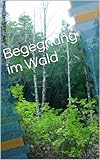  Begegnung im Wald