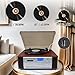 10 in 1 Vinyl Record Player 3 Speed Bluetooth Vintage Automatic Turntable CD Cassette Player AM/FM Radio USB Recorder Aux-in RCA Line-Out (Silver)