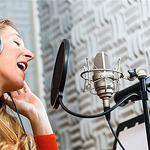 Mikrofon Popschutz, Mic Windschutz Schaum Windschutzscheibe Pop Filter, Windschutz mit flexiblem 360°Hals und… - Image 8