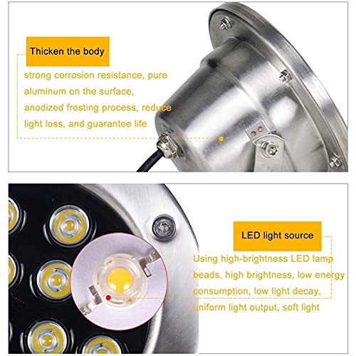 BDSHL Faretto a LED Luci di Paesaggio all'aperto