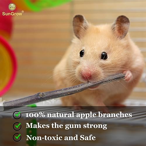 Image of SunGrow Apple Sticks, Wood Chew Treats for Rabbits, Chinchillas, Bunny, Hamster, Squirrel, Guinea Pigs, Small Animals Teeth Grinding