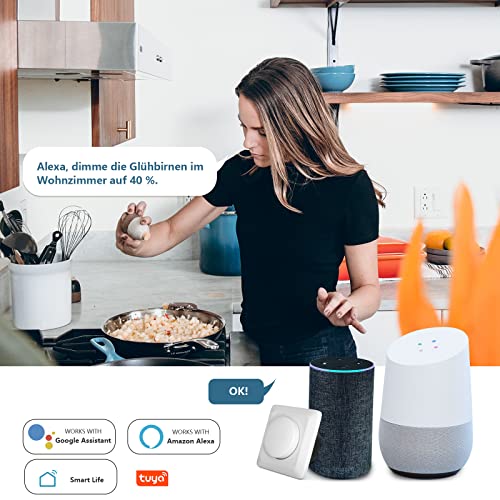 WLAN Dimmer Zigtiger Wifi LED Dimmer Schalter Universal Unterputz