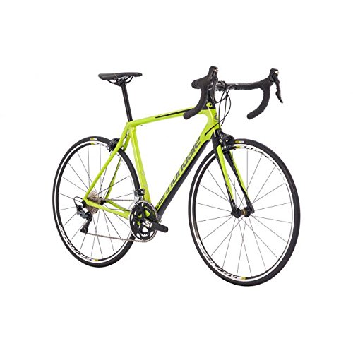Cannondale Synapse Carbon Ultegra Verde, Verde