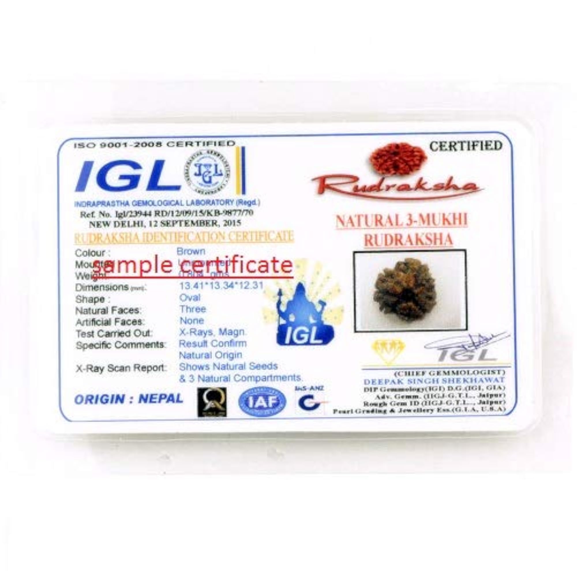 3 Mukhi Natural & Real Nepal Rudraksha by Lab Certified
