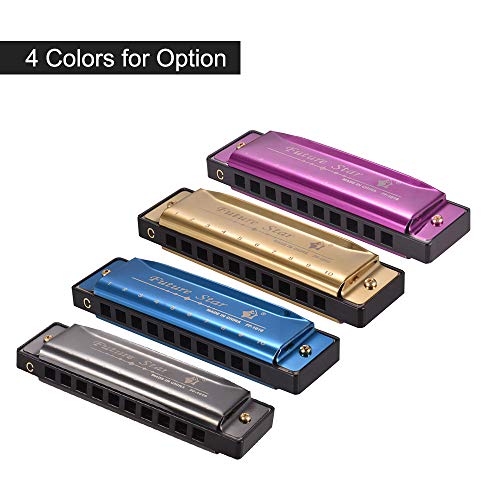 KKmoon Chave de C Diatonic Harmônica Mouthorgan com palhetas ABS Design de superfície de espelho 10