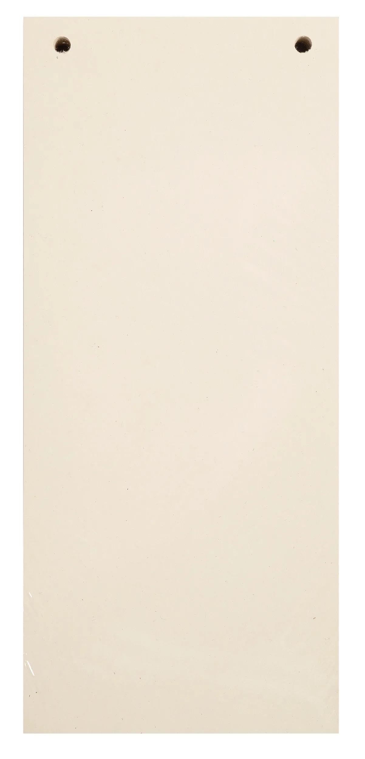 Paquet 100 fiches intercalaires horizontales unies perforees nature future - 105x240mm