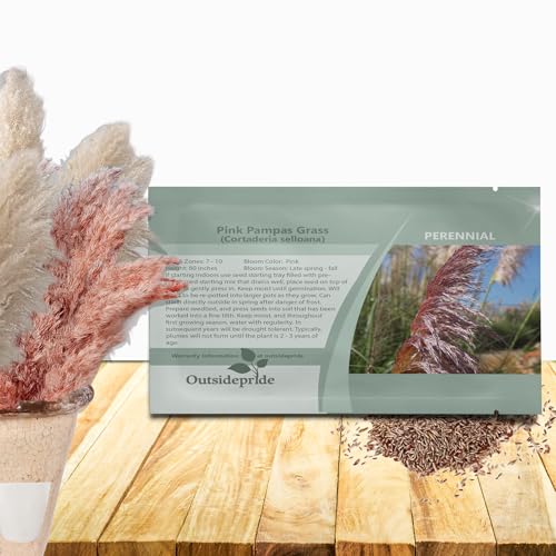 Outsidepride Mix Pampas Grass Seeds – 1,000 Pcs. Perennial, Drought-Tolerant