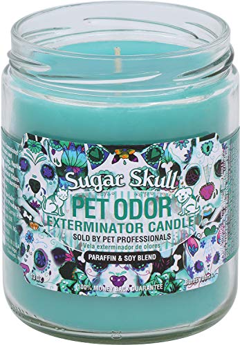 Image of Pet Odor Exterminator Candle, Sugar Skull,13 oz