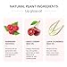 Fovcos Hydrating Lip Glow Oil, Moisturizing Lip Glow Oil, Lip Plumper Gloss, Transparent Lip Gloss, Lip Oil, Plumping Lip Oil, Lip Balm, Tinted Lip Balm Lip Care (Pink)