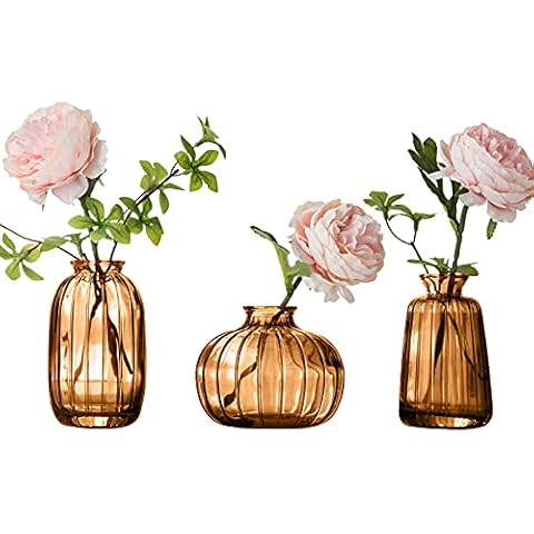 Set of 3 Glass Bud Vases for Home Decor Cover