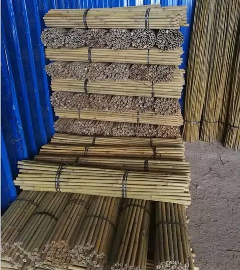 Bamboo Wooden Stick Sticks for Plants Support 4.5 feet 4.5 ft 4.5 Foot 54 inch 10 pc-image-40