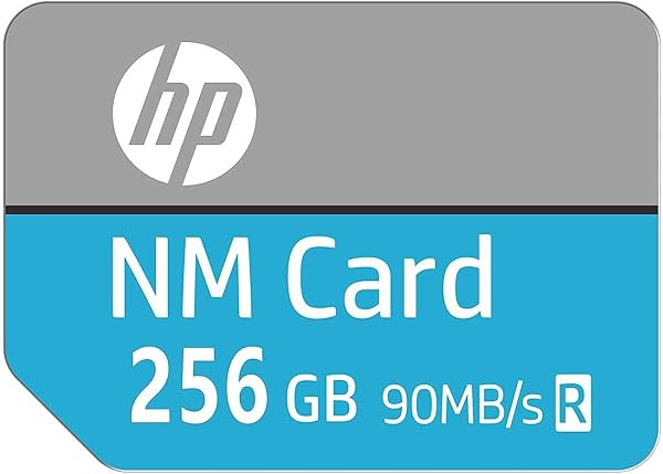 HP NM Card NM100 256 Go - 2
