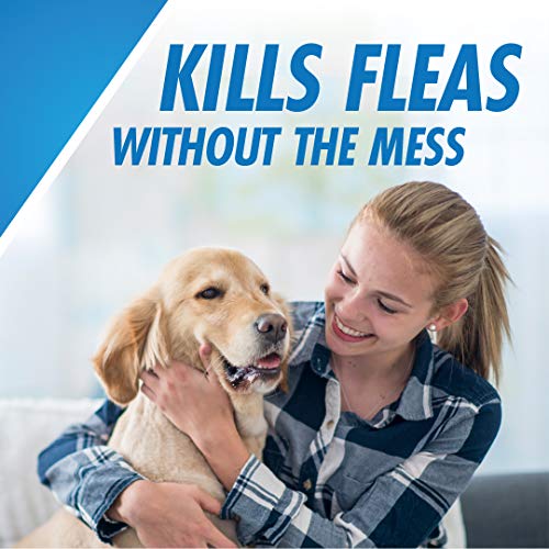 PetArmor CAPACTION (nitenpyram) Oral Flea Treatment for Dogs, Fast