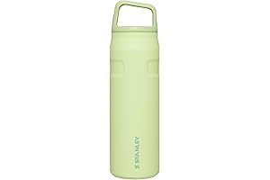 24oz Stanley IceFlow Flip & Go Water Bottle