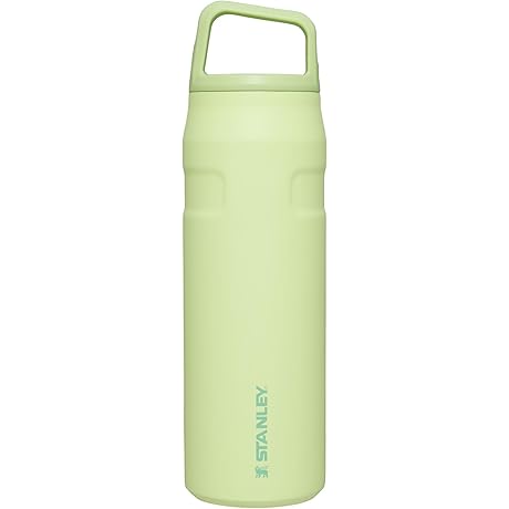 24oz Stanley IceFlow Flip & Go Water Bottle