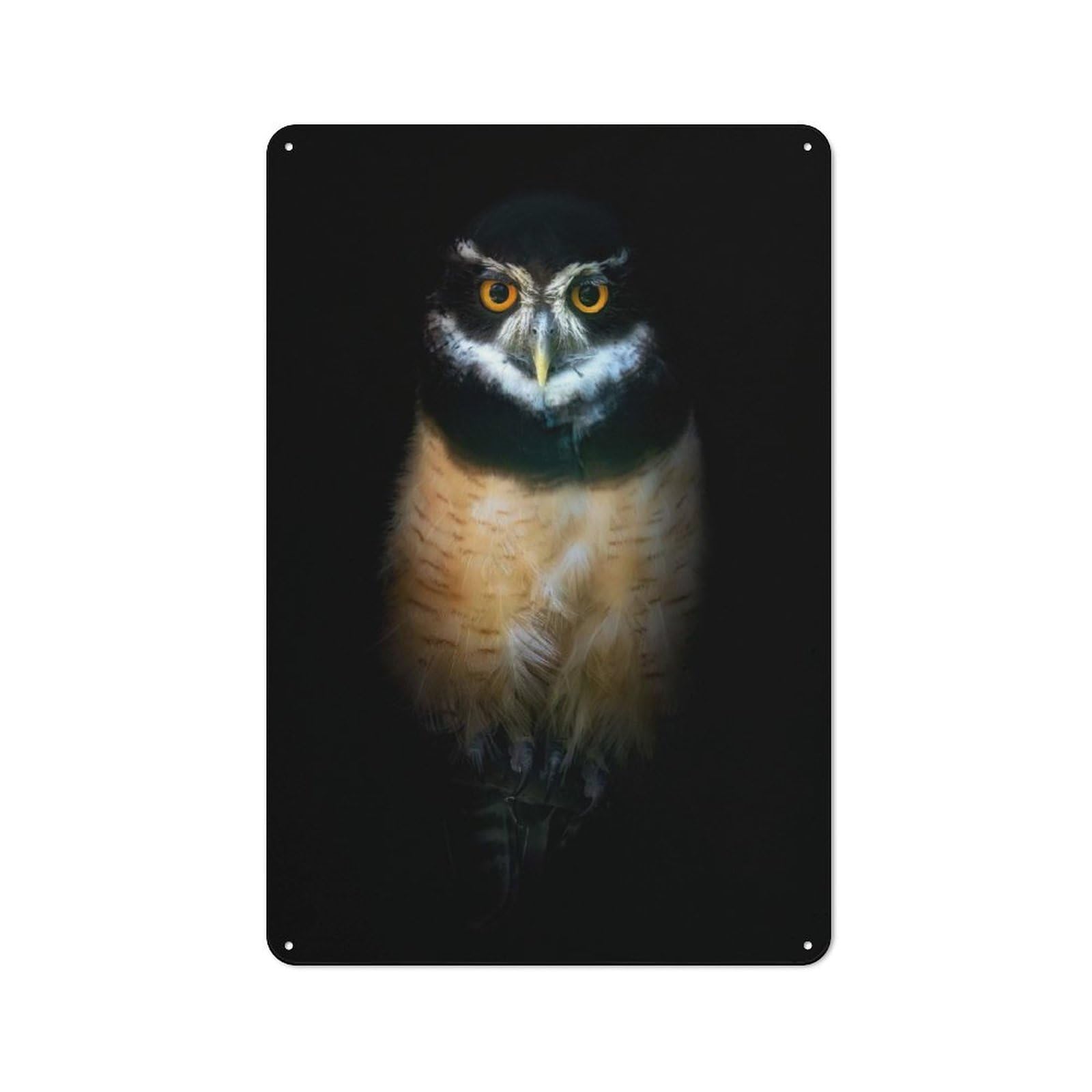 Junmoney Style-18 Spectacled Owl Portrait On Black Background Retro Tin Sign 30X20cm For Pub Or Café, For Collectors Building A Themed Wall Display