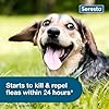 Seresto Small Dog Vet-Recommended Flea & Tick Treatment & Prevention Collar for Dogs Under 18 lbs. | 8 Months Protection #4