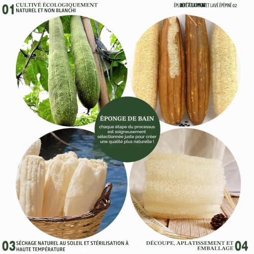 Eponge de douche naturelle Loofah, éponge de bain exfoliante Loofa, 5.5 « éponges de spa Lufa douces et faciles à moussage (3 packs) – vue 5