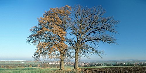 Cartolina XL con scritta in lingua inglese