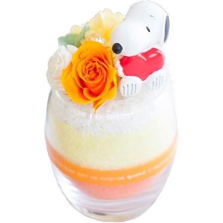 Amazon Ruplan プリザーブドフラワー スヌーピーといっしょ スヌーピー ハート オレンジ プリザーブドフラワー オンライン通販 Amazon Ruplan プリザーブドフラワー スヌーピーといっしょ スヌーピー ハート オレンジ プリザーブドフラワー オンライン通販