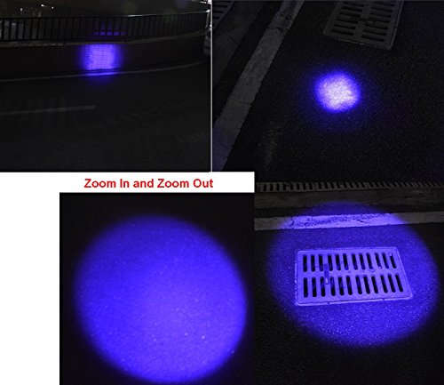 Wayllshine 395 Nm Ultra Violet Uv Flashlight Blacklight, High Power Led 3 Mode 10 Yard Long Range Uv Flashlight Blacklight, Pets Urine Detector, Stains, Odor Detector #TOP3