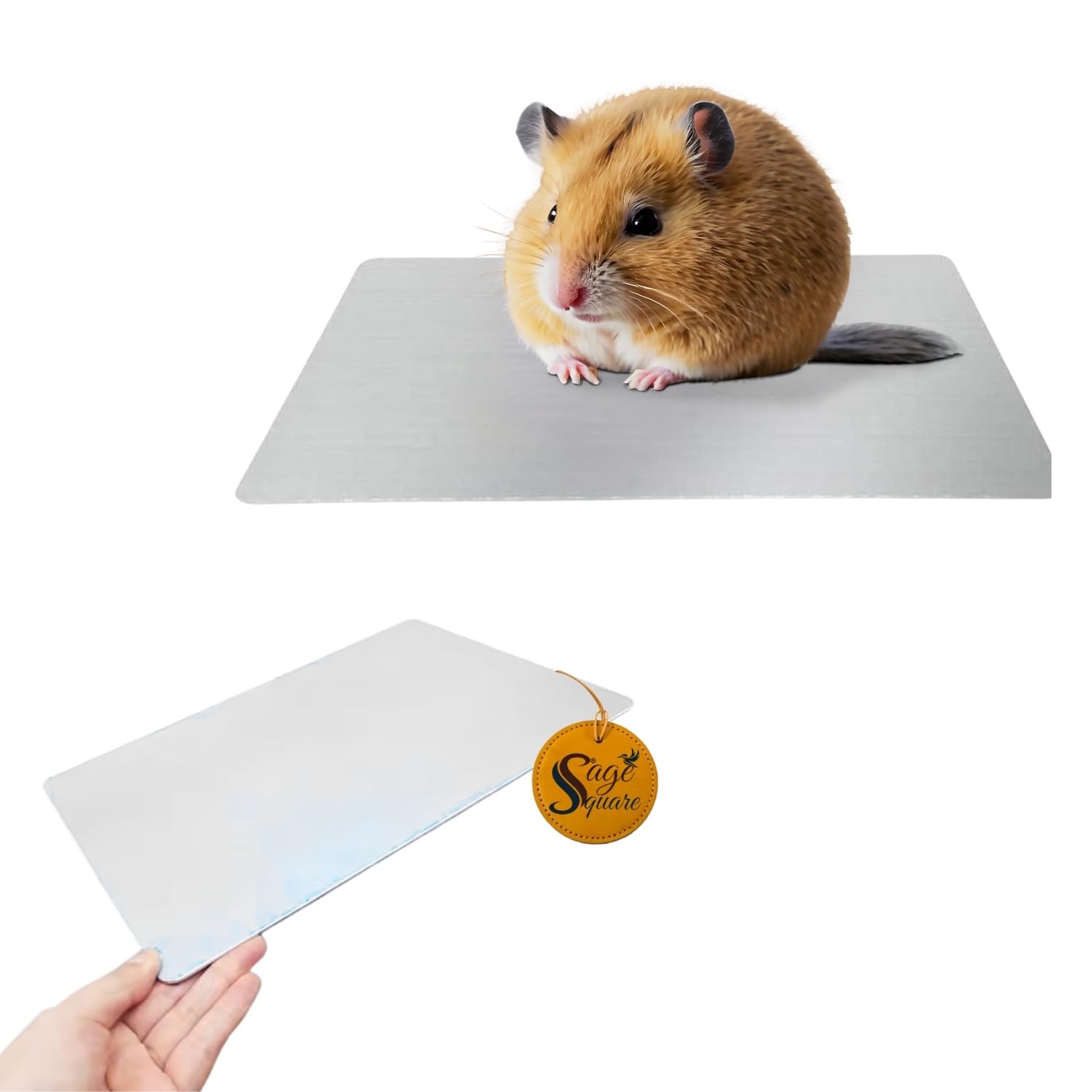 Sage Square Aluminium Cool Plate for Hamsters – Summer Chill Mat for Small Pets, Heat Relief Pad for Guinea Pigs, Gerbils & Mice, Lightweight & Non-Toxic Metal Cooling Sheet for Cage Comfort (6×10cm)-image-30