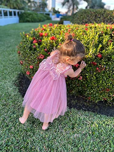 Baby Girl Tulle Tutu Layered Butterfly Dress Toddler Flower Girl Princess Birthday Party Wedding Sleeveless Dress 1-6T(Dusty Rose,5T) #TOP3