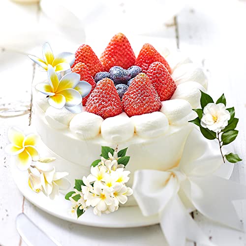 2Pcs Flower Molds Silicone Gardenia Plumeria Rubra Flower Mold Flower Chocolate Mold Silicone Molds For Baking Cake Decoration Tools 3D Fondant Chocolate Molds Cupcake Soap Jelly Candy Pastry #TOP6