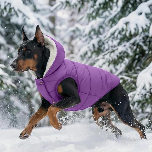 Veste chaude pour chien SAWMONG imperméable violet pour chiot actif - 8