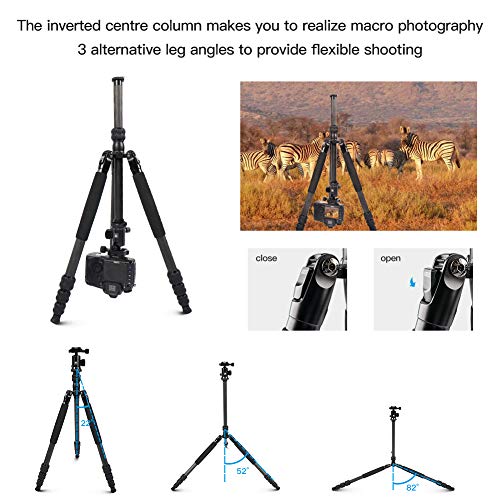 Sirui Traveler 7C Camera Tripod 65.55 Inches Carbon Fiber Arca Tripod With E-10 360° Panorama Ball Head And Arca Swiss Quick Release Plate Load Capacity Up To 17.6Lbs, Convertible To Monopod #TOP3