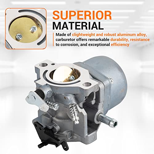 image for BlueStars 5-4993 799728 Carburetor with Mounting Gasket Filter - For B