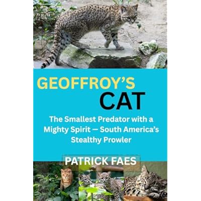 GEOFFROY&rsquo;S CAT