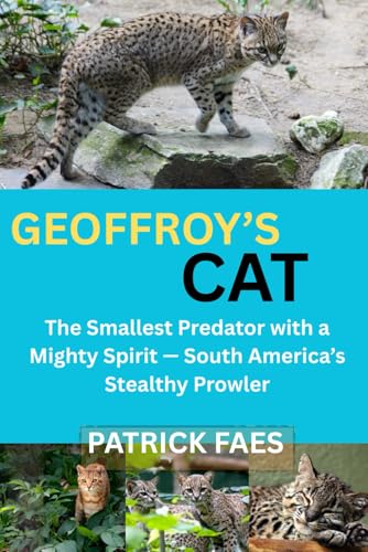GEOFFROY’S CAT: The Smallest Predator with a Mighty Spirit — South American’s Stealthy Prowler
