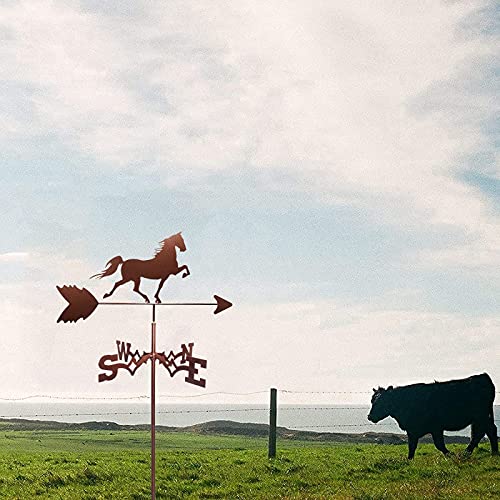 Girouette toits outil de mesure direction du vent avec indicateur pour ferme rétro