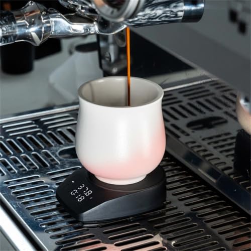 Báscula de café espresso de precisión para baristas en casa con carga Tipo C 7